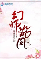 君沉风辛颜