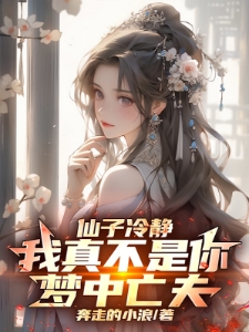 仙子冷静我真不是你梦中亡夫叶羽