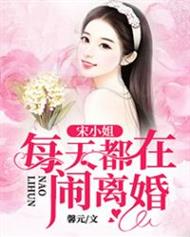 宋小姐每天都在闹离婚