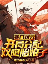 寒门状元:开局分配双胞胎娘子