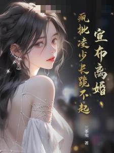 宣布离婚,疯批凌少长跪不起